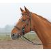 Solibel trekking bridle black fitting: stainless steel coldblood