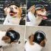 Buy Dog & Cat Motorcycle Helmets | Safety Hard Hats for Pets 44-88lbs - Outdoor Protection - Buy Online on SooperMarket.com