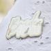 Ginger Ray Bride to Be Flower Enamel Silver Badge | Multicoloured 3.3cm x 5.3cm | Perfect Wedding Accessory - Buy Online on SooperMarket.com