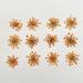 100pcs Ammi Majus Natural Pressed Dried Flowers for Resin, Soap & Candle Making (Orange) - Buy Online on SooperMarket.com