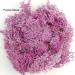 9 OZ Preserved Moss - Natural Live & Fake Moss for Potted Plants, Terrariums, Gardening, Art, Vase Fillers, Craft Floral Wall, Wedding Decor - Green, Purple, Pink - Buy Online on SooperMarket.com