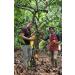 Organic Ceremonial Grade Cacao 100% Raw and Pure Cocoa Criollo Variety From The Ashaninka Nomatsigenga Tribes and Farmers located in Satipo in the central rainforest of Peru. 1000g (1Kg) 1.00 kg (Pack of 1) - Buy Online on SooperMarket.com