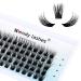Individual Lashes Cluster Lashes D Curl 0.07mm DIY Eyelash Extensions Lash Clusters 15mm Reusable lash Extension Clusters Soft and Wispy Lash Extension Clusters(FD-D13-0.07-D15) RR-15mm D13-0.07-D