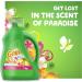 Gain Botanicals Orange Blossom Vanilla Plant Based Laundry Detergent 46 fl oz - Pack of 2 | HE Compatible, 32 Loads - Buy Online on SooperMarket.com