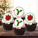 PRECUT Christmas Poinsettia Holly Cupcake Toppers Christmas Edible Holly Cake Decorations Christmas Cake Topper Xmas Cupcake Decoration Poinsettia Cake Decorations (12) - Buy Online on SooperMarket.com