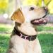 Personalized Yehanti Dog Brand - Engraved Quiet Silicone Dog Tag for Pets | Custom Name Phone & Address | Pink & Black - Ideal for Dogs Cats & Puppies (16mm Collar) - Buy Online on SooperMarket.com