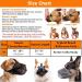 Breathable Mesh Dog Muzzle - Adjustable Nylon Muzzle with Safety Belts for Small Dogs - Comfortable & Secure Fit - Buy Online on SooperMarket.com