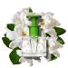Caswell-Massey Gardenia Eau de Toilette Discovery Uplifting Feminine Floral Fragrance Inspired by New York Botanical Garden Sample Size Vial Perfume for Women 0.25 Fl Oz Gardenia 0.25 Fl Oz (Pack of 1) - Buy Online on SooperMarket.com