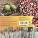 Abis-Pharma Organic Shea Butter 50g - Pure Unrefined Vegan Fair Trade from Burkina Faso - Buy Online on SooperMarket.com