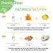 Fatima's Garden Prickly Pear Seed Oil USDA Ecocert Certified Organic Moroccan Anti-aging Moisturizer for Face, Hair, Skin & Nails 1 Fl Oz - Buy Online on SooperMarket.com