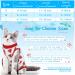 3 Pieces Cat Recovery Suit Kitten Recovery Suit E-Collar Alternative for Cats and Dogs Abdominal Skin Anti Licking Pajama Suit Multi Style Medium - Buy Online on SooperMarket.com