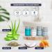 Terra Pure White Tea & Coconut Toiletries Set - 80 Piece Travel Amenities for Hotels Airbnb & Rentals | Hotel Shampoo Conditioner Body Wash & Lotion - Buy Online on SooperMarket.com