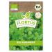 Flortus Bio Koriander |Herb seeds |Coriander seeds |Organic seeds made of plant seeds |Sed for cultivation for garden balcony kitchen & windowsill