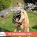 Furry Sensitive Dog Shampoo Perfume-Free Vegan All Fur Types Puppies & Dogs Made in Germany 250ml - Buy Online on SooperMarket.com