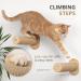 Ruby Road Cat Hammock Wall Mounted Shelf with Steps - Modern Cat Bed for Large Cats - Cat Furniture for Sleeping, Playing, Climbing, and Lounging - Buy Online on SooperMarket.com