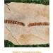TOPAZ Amber Necklace for Dogs & Cats | Natural Tick & Flea Protection | Handmade 30 cm - Buy Online on SooperMarket.com