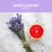 Rebel Green Natural Hand Soap - Lavender & Grapefruit Scent - 16.9 oz Pump Bottles 4 Pack - Buy Online on SooperMarket.com