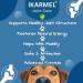 iKarmel Hip and Joint Care Supplements for Dogs - Glucosamine, Chondroitin, Green-Lipped Mussels - Senior to Puppy Treats for Stiff Joints (180 Chews) - Buy Online on SooperMarket.com