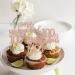 24 Pack Straight Outta 1924 Cupcake Toppers Happy 100th Birthday One-hundred Awesome Since 1924 Cupcake Picks 100 Fabulous Cake Decorations for 100th Birthday Anniversary Party Rosegold 100th Rose Gold - Buy Online on SooperMarket.com