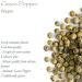 Organic Green Peppercorns Whole - Gourmet Pepper Corn for Grinder - 100g - Buy Online on SooperMarket.com