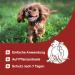 MEDIDOG Natural Spot On - 50ml Tick Repellent for All Dog Breeds | Chemical-Free Ready-to-Use Solution - Buy Online on SooperMarket.com