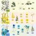 223 Pieces Real Dried Flowers, Leaves & Butterfly Stickers Set - Colorful Natural Daisies & Adhesive Decals for DIY Resin Jewelry & Nail Crafts - Buy Online on SooperMarket.com