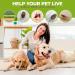 Rubigo 3 Pack Tick Remover Tools For Dogs Cats Humans. | Quick Safe And Painless Removal Of All Tick Sizes. 3 Different Sized Strong Plastic Tick Removers | For All Pets (Green) - Buy Online on SooperMarket.com