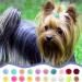 Qearl 48 Pcs Colored Ball Dog Ties Small Dog Bows - Pet Grooming Hair Accessories for Puppy & Cat - Buy Online on SooperMarket.com