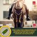 Premium Vitamin Paste for Horses | Amino Acids & Energy Booster | Muscle Regeneration & Performance | 3x30ml - Buy Online on SooperMarket.com