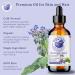 Bella Terra Oils Borage Seed Oil. 473ml. 100% Pure. Cold-pressed. Unrefined. PA-free. Hexane-free. Rich in GLA. Natural Moisturizer for Skin Hair. 473 ml (Pack of 1) - Buy Online on SooperMarket.com