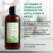 Just Nutritive Herbal Gel for Curly Hair 16 Oz | Frizz Control & Curl Definition - Buy Online on SooperMarket.com
