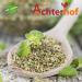 Buy Premium Oregano Leaves 100g - Dried & Rubbed Italian Herbs for Seasoning | Oreegano from Achterhof | International Shipping Available - Buy Online on SooperMarket.com