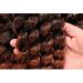 Jumpy Wand Curl Bouncy Crochet Hair Extensions 8 Inch 22 Strands (1B/30 Black to Brown) - Buy Online on SooperMarket.com