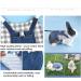 Adjustable Soft Rabbit Dishes & Leash Set - Perfect for Rabbits Cats and Guinea Pigs | Size M Blue - Buy Online on SooperMarket.com