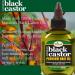 Difeel Superior Growth Jamaican Black Castor Premium Hair Oil 2.5 oz - Nourish, Strengthen, and Promote Healthy Hair Growth - Buy Online on SooperMarket.com
