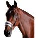 Collegiate ComFiTec Sheepskin Bridle Brown Cob