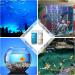 FUNSWTM 7 in 1 Aquarium Test Strips - 100Pcs | Freshwater and Saltwater Fish Tank Test Kit for pH, Nitrite, Nitrate, Chlorine & Hardness Detection - Buy Online on SooperMarket.com