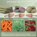 Erkoon 24-Piece Rabbit & Small Pet Toys Set | Dental Care Timothy Hay Sticks Carrots & Rose Grass Cake - Ideal for Rabbits Guinea Pigs Hamsters & Chinchillas - Buy Online on SooperMarket.com