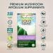 Host Defense Lions Mane Mushroom Supplement 120 Mushroom Capsules for Brain Health | 1000mg Lion's Mane Powder per Serving |Mushroom Supplements for Brain & Nervous System Support | Mushroom Powder Extract Pills Host Defense Mushrooms| Lion's Mane Pills - Buy Online on SooperMarket.com