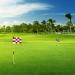 Checkered Golf Flags 8x6 Mini Putting Green Flags - 3 Pack Red/White Pin Flags | 420D Nylon Yard, Indoor, Outdoor Backyard Garden Flags - Buy Online on SooperMarket.com