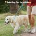 Durable 1.4cm x 150cm Pink Reflective Slip Lead Dog Leash | Adjustable Anti-Choking Training Rope for Small Medium Large Dogs and Cats | Grand Line Slip Lead - Buy Online on SooperMarket.com