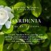 Caswell-Massey Gardenia Eau de Toilette Classic Floral Scent Luxurious & Long-Lasting Fragrance for Women Full Size Perfume for Women 2 Fl Oz Gardenia 2 Fl Oz (Pack of 1) - Buy Online on SooperMarket.com