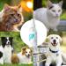 PUCHEN Teeth Cleaning Spray for Pet Pet Teeth Cleaning Spray 60ml - Cleaning Dog Teeth Spray Odors and Freshen Breath for Home Outdoor Travel Use - Buy Online on SooperMarket.com