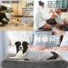 Sychien Dog T-Shirt 2-Pack - Soft Combed Cotton Breathable & Sun Protection - Large Gray-White Striped Shirt for Boys Girls & Dogs - Buy Online on SooperMarket.com