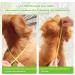 ZEEJORY Adjustable Cat & Dog Cone Collar for Fast Healing - M(28-37cm/11-14.5in) - Buy Online on SooperMarket.com