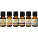 Basic Set 6-10ml 100% Pure Essential Oil (Eucalyptus Lavender Peppermint Rosemary Sweet Orange and Tea Tree) - Buy Online on SooperMarket.com