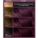 L'Or al Paris Colorista Permanent Gel Hair Dye - Dark Purple | Long-Lasting Vibrant At-Home Hair Colour - Buy Online on SooperMarket.com