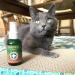 Meowijuana Organic High-Potency Catnip Spray Bundle - 3oz | USA-Grown | For Cat Toys, Teasers & Scratchers | Feline Approved - Buy Online on SooperMarket.com