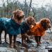 Hurtta Monsoon Dog Raincoat - Blueberry 81.3 cm (32 in) | Waterproof Dog Coat for All Weather - Buy Online on SooperMarket.com