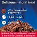 King British | Bloodworm Treats | For All Coldwater Tropical & Marine Fish Turtles & Terrapins | High Protein & Iron | Provides Excellent Colour & Condition | Complementary Treats | 7g Single - Buy Online on SooperMarket.com